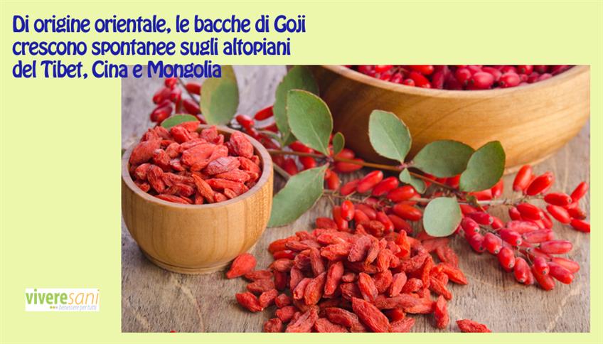 Le bacche di Goji, proviamole! Le bacche di Goji, proviamole!
